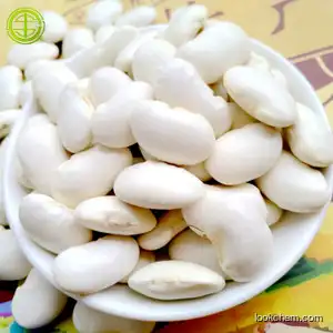 Factory supply White kidney bean extract powder