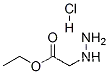 Ethyl hydrazinoacetate hydrochloride