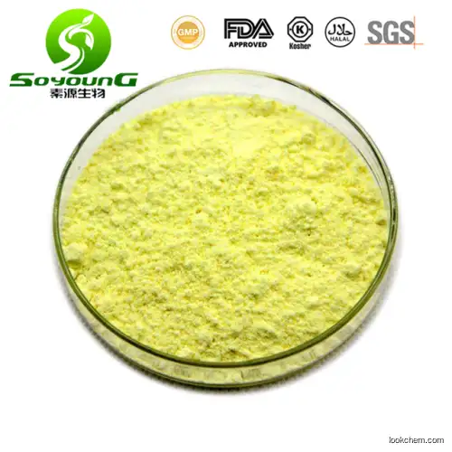 Quercetin Anhydrous 98% CAS 117-39-5 from Sophorae Japonica