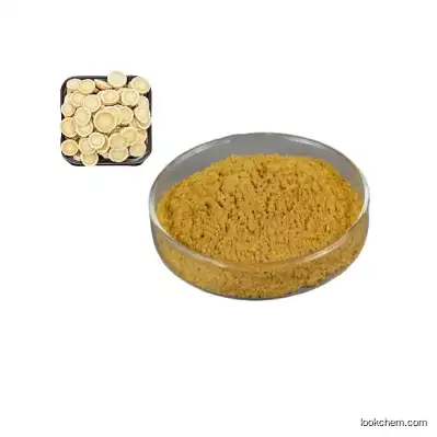 Pure Astragalus Root Extract CAS 17429-69-5 Natural Astragaloside IV Powder Price in Bulk