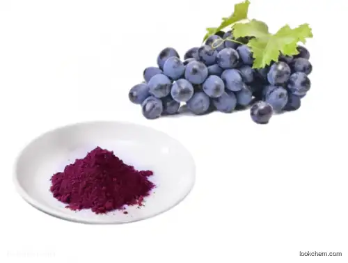 Grape Seed Extract OPC 95% UP(84929-27-1)