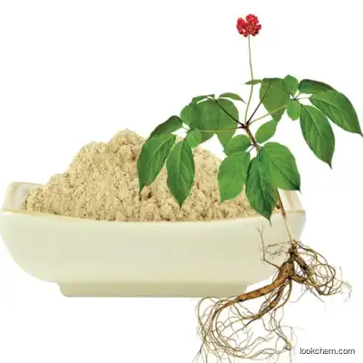 Panax Notoginseng Extract Notoginseng Triterpenes for Food and Cosmetics CAS 88105-29-7.