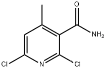 2,6-DICHLORO-4-METHYLNICOTINAMIDE