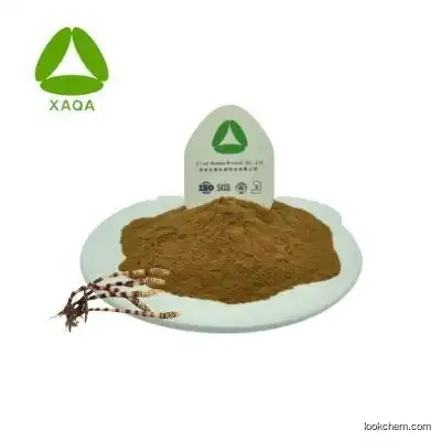 China Supplier Horsetail Extract powder Silica powder 10:1