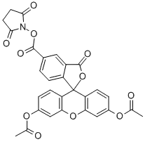 5(6)-(N-SUCCINIMIDYLOXYCARBONYL)-3',6',O,O'-DIACETYLFLUORESCEIN