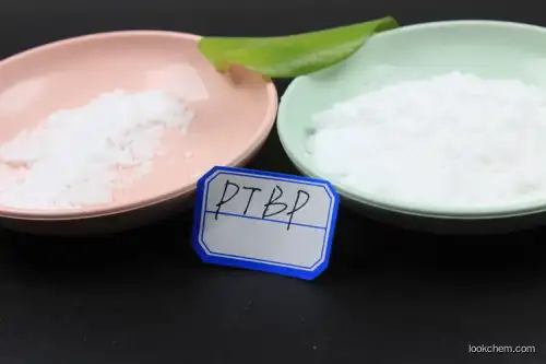 High Quality PTBP / Para Tertiary Butyl Phenol High Purity