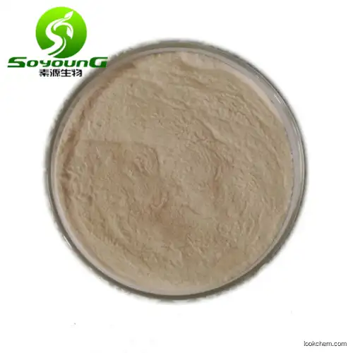Sinomenium Acutum Extract 98% Sinomenine Hydrochloride