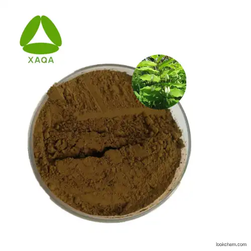 Full Stock PolygonatuM Officinale Root Extract Powder 10:1