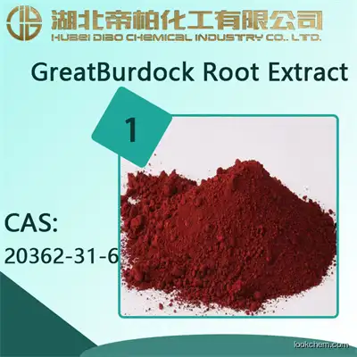 GreatBurdock Root Extract  Manufacturer  /CAS:20362-31-6/Chinese suppliers/Content is 20%