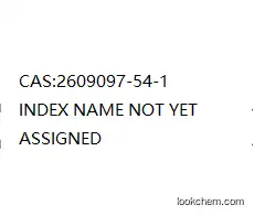 INDEX NAME NOT YET ASSIGNED