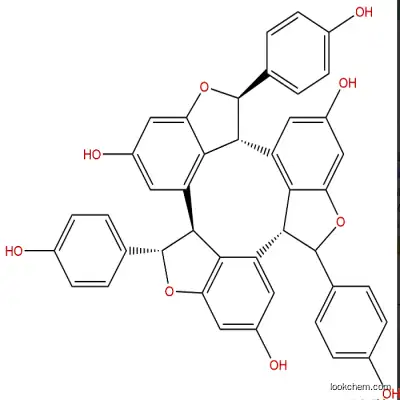 α-Viniferin CAS : 62218-13-7