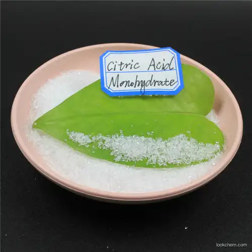 Food grade Citric Acid MONO CAS 77-92-9 bulk Citric acid powder(77-92-9)