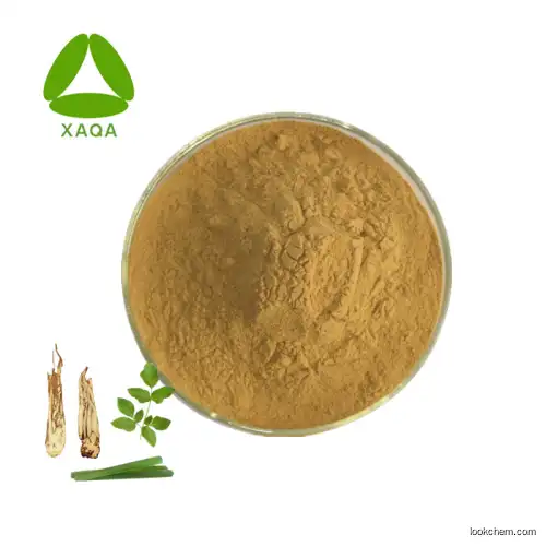 OEM Factory Angelicae(DangQuai) Root Extract Powder 20:1