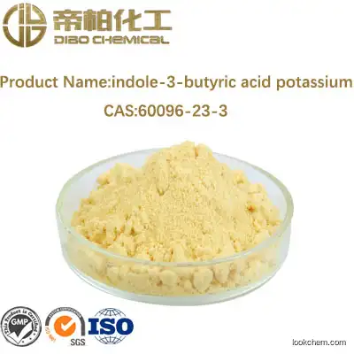INDOLE-3-BUTYRIC ACID POTASSIUM SALT/cas:60096-23-3/high quality