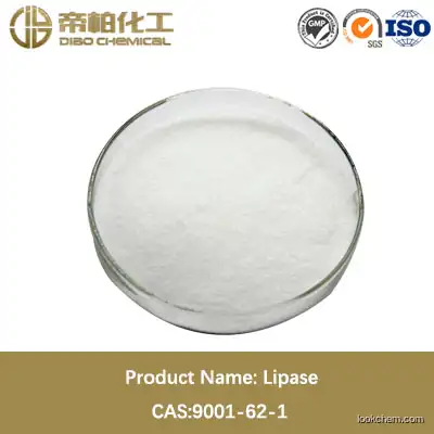 Lipase/cas:9001-62-1/high quality/Lipase material