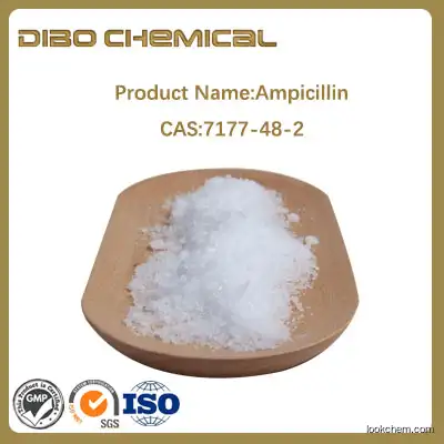 Ampicillin/cas:7177-48-2/high quality/Ampicillin material