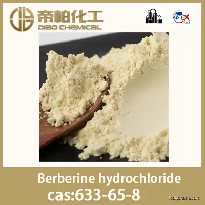 Berberine hydrochloride/CAS ：633-65-8/raw material/high-quality