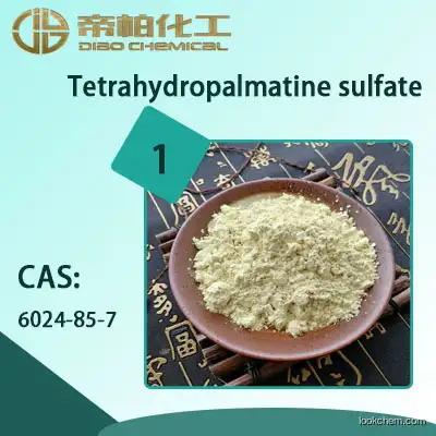 Tetrahydropalmatine sulfate  material/powder /CAS：6024-85-7