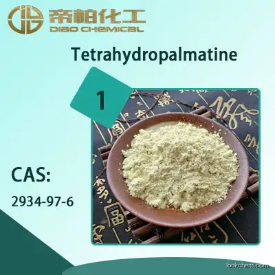 Tetrahydropalmatine material/powder /CAS：2934-97-6