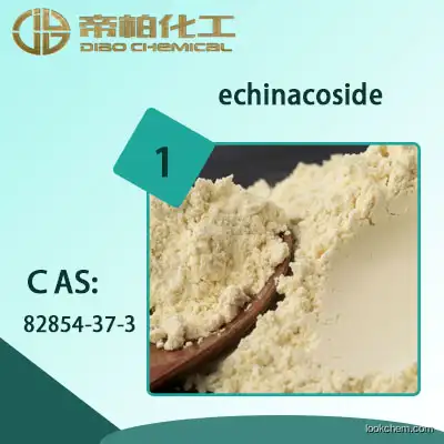 echinacoside/CAS：82854-37-3/Manufacturer provides straightly