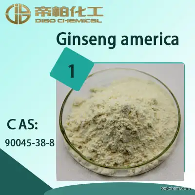 Ginseng america/CAS：90045-38-8/Manufacturer provides straightly