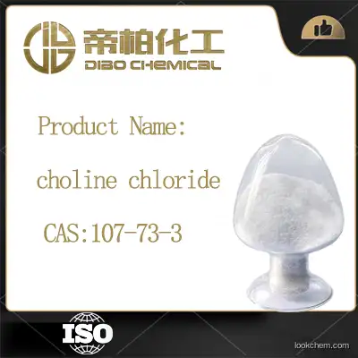 choline chloride O-(dihydrogen phosphate) CAS：107-73-3 high-quality Chinese manufacturers