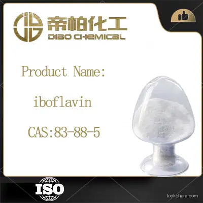 iboflavin CAS：83-88-5 Chinese manufacturers high-quality