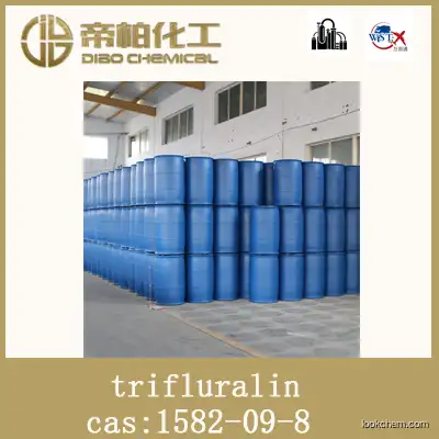 trifluralin /CAS ：1582-09-8 /raw material/high-quality