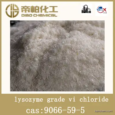 lysozyme grade vi chloride /CAS ：9066-59-5/raw material/high-quality