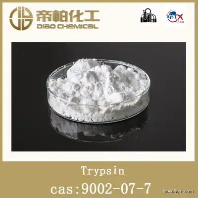 Trypsin /CAS ：9002-07-7/raw material/high-quality