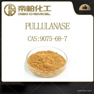 PULLULANASE CAS：9075-68-7 Chinese manufacturers high-quality