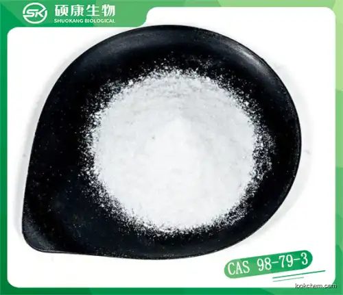 99% L-Pyroglutamic Acid (PCA) CAS 98-79-3