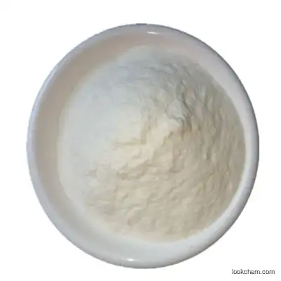 Natamycin powder CAS 7681-93-8