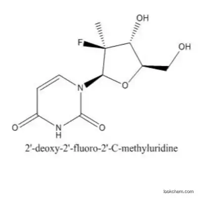 (R)-(-)-1-[(S)-2-(dicyclohexylphosphine) ferrocene] ethyl di-tert-butylphosphine CAS   158923-11-6