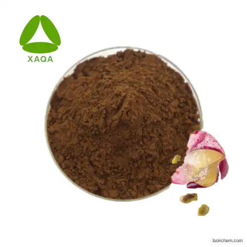 OEM Supply Grape Seed Extract Procyanidin Powder 10:1