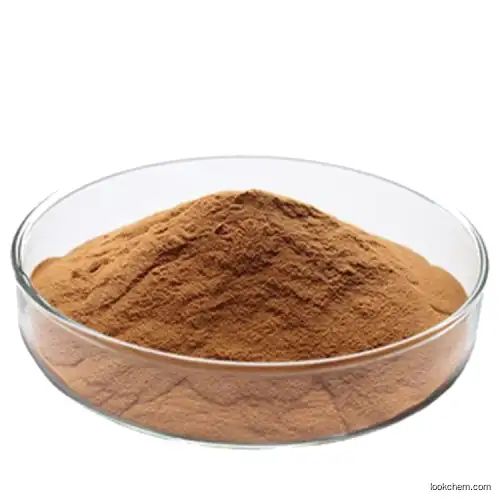 High Quality Ginseng Extract for Food Supplement