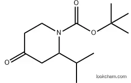 1-BOC-2-ISOPROPYL-PIPERIDIN-4-ONE 313950-41-3 98%