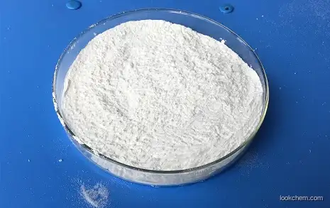 Lower price and best quality 546-93-0 Magnesium carbonate