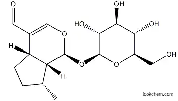 (1S)-1-(β-D-Glucopyranosyloxy)-1,4aα,5,6,7,7aα-hexahydro-7β-methylcyclopenta[c]pyran-4-carbaldehyde?72963-55-4 98%
