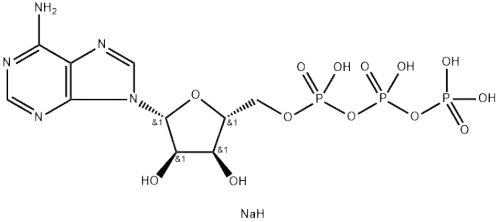 High Content Nutritional Supplements Adenosine Disodium Triphosphate 987-65-5 GMP Manufacturer