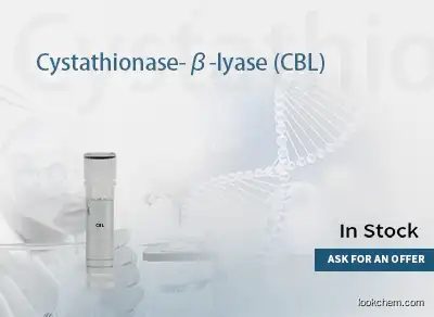 Cystathionine β-lyase