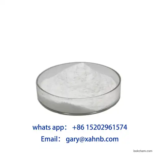 98% min aminophylline powder with factory price