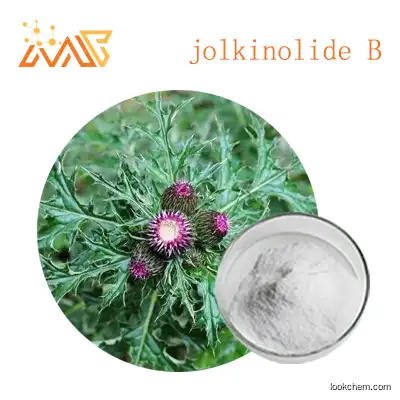 Supply Artichoke extract jolkinolide B 98%