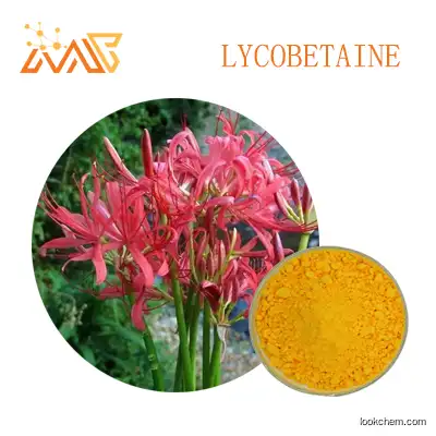 Supply Lycoris extract LYCOBETAINE 98%
