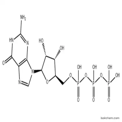 Guanosine-5'-Triphosphate, Trisodium Salt Also Called GTP