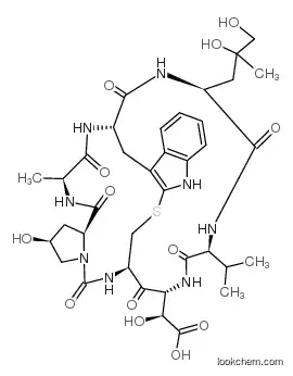 MSS2027 - Phallacidin