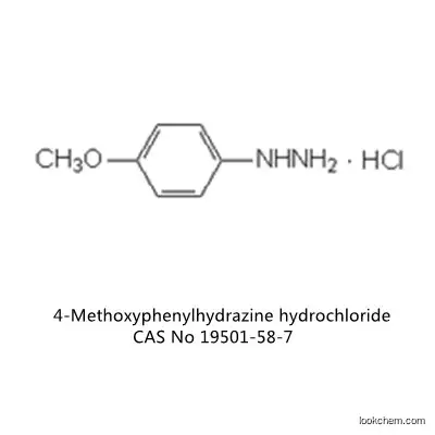 98% 4-Methoxyphenylhydrazine hydrochloride C7H10N2O.HCl