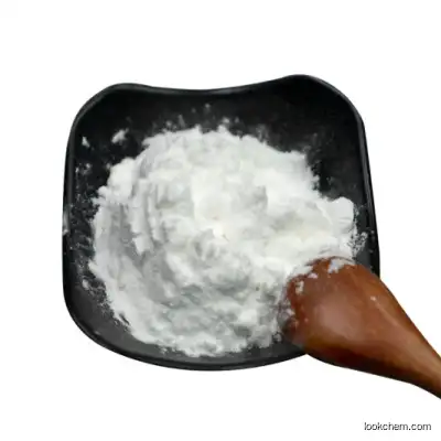 CAS 1306-06-5 Nano Hydroxyapatite Powder