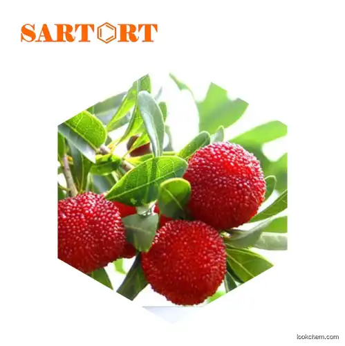 High Natural Purity Myricetin Bayberry Extract