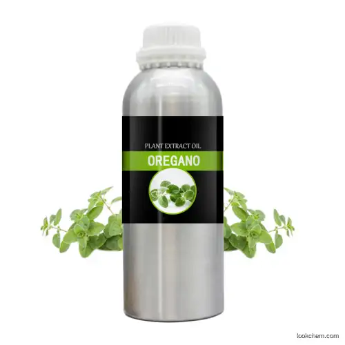 Manufacturer supply wild oil of Oregano Essential Oil with Carvacrol